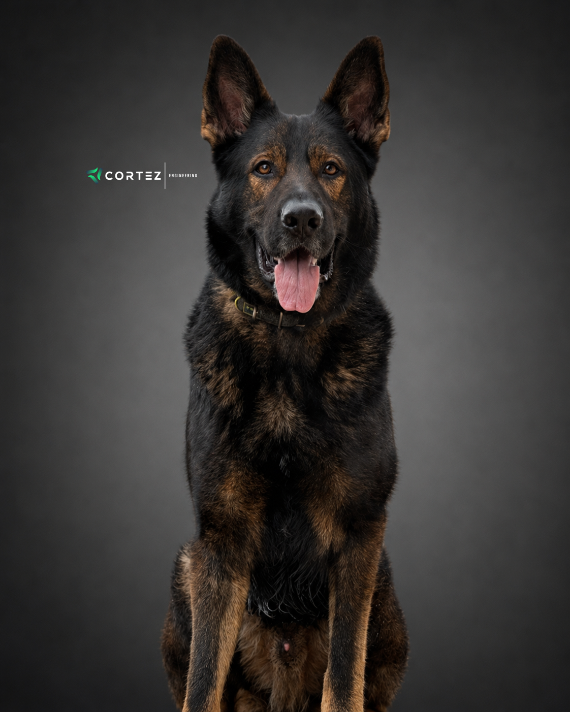Ares Cortez, Office Companion at Cortez Engineering